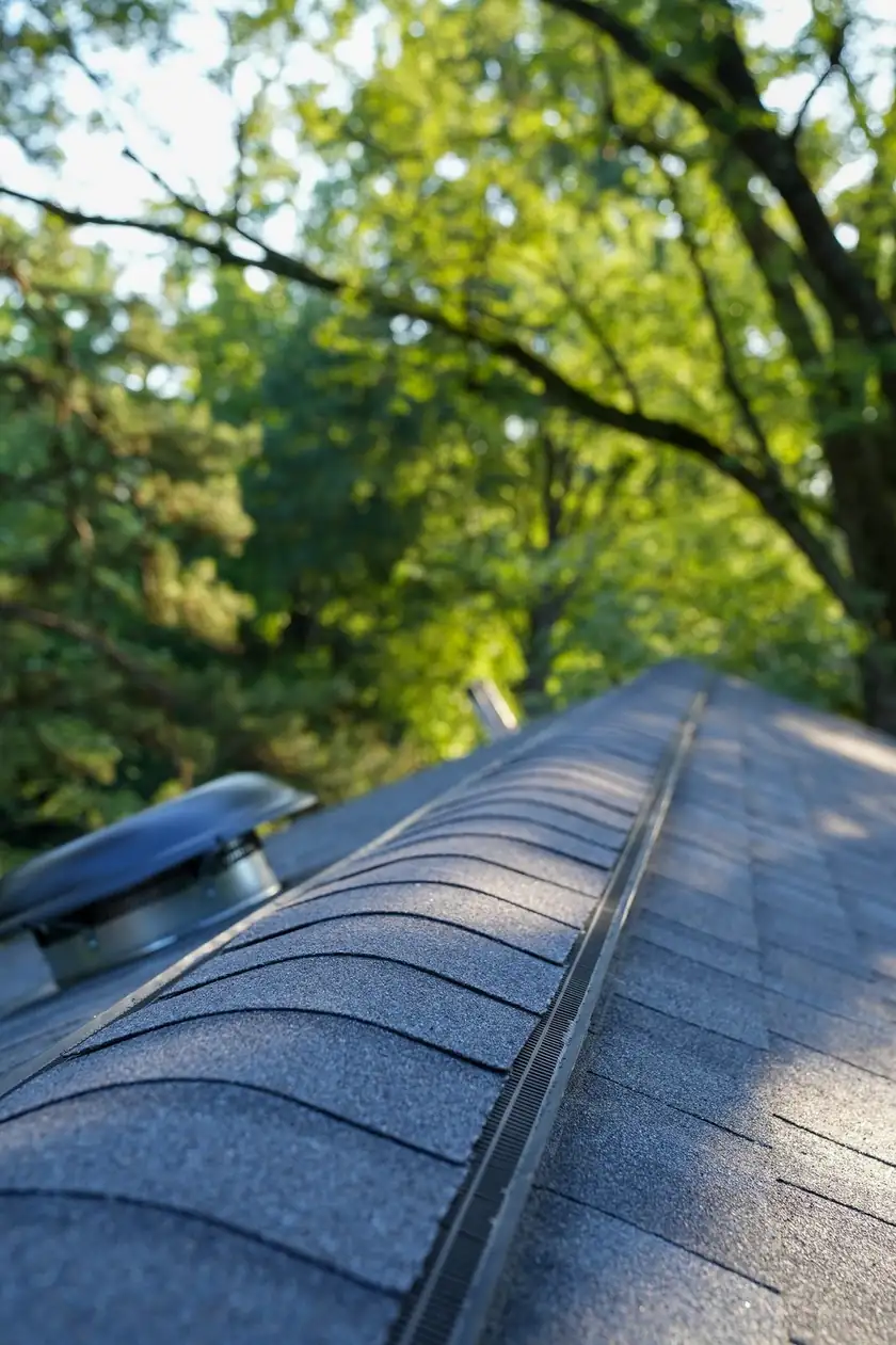 Ridge vent and turbine vent on an asphalt shingle roof