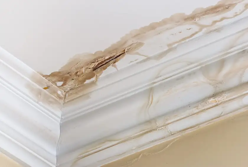 Water damage on interior crown molding and ceiling